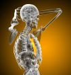 sternum bone 