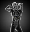  human adrenal 