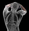 3d render medical illustration of the ulna bone