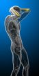 3d render medical illustration of the ulna bone