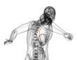 3d rendered illustration of the esophagus 