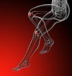  patella bone 