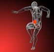 3d render medical illustration of the pelvis bone