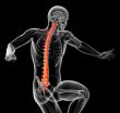 3d render medical illustration of the human spine