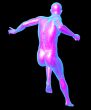 human anatomy 