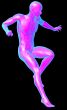  human anatomy 