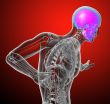 3d render medical illustration of the human skull