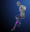 3d render medical illustration of the tibia bone  