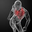 3d render illustration of the rib cage - top view