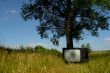 TV on the meadow