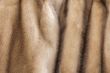  Product from fur of a mink