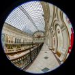 Moscow,Complete circular fisheye view of the trading floor