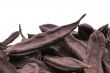 The Ripe Carob on the white background