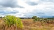 Dark clouds hovering over the fields