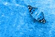 A small tortoiseshell butterfly rests