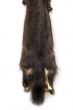 Skins of a sable
