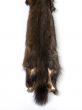 Skins of a sable