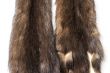 Skins of a sable