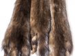 Skins of a sable