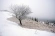 winter calm mountain landscape