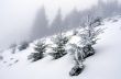 winter calm mountain landscape