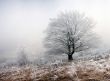 winter calm mountain landscape