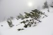 winter calm mountain landscape