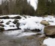 Flowing water of Carpathian mountain stream