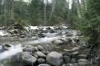 Flowing water of Carpathian mountain stream