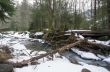 Flowing water of Carpathian mountain stream