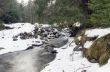 Flowing water of Carpathian mountain stream