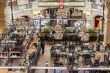 Moscow, GUM. Cafe in a trading floor of the GUM