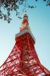 Tokyo Tower in Winter
