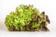 Bunch of lettuce leaves of different grades