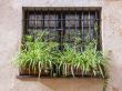 Antibe. Typical architectural details in Provencal style