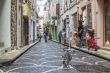 Antibes, France. A typical urban view