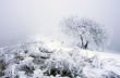 winter calm mountain landscape