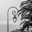 Corner of park in the Mediterranean