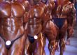  group of muscular male torsos