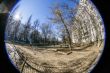 Pushkino, Russia. City spring landscape, fisheye view