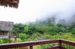 View from balcony of a cabin