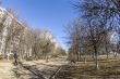 Pushkino, Russia, spring landscape