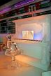 Ice Sculpture