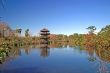 Observation Tower