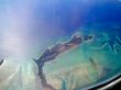 Plane View