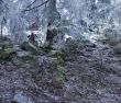 winter calm mountain landscape