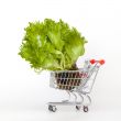 fresh sheet salad in the cart for shopping