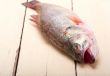fresh whole raw fish