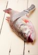 fresh whole raw fish