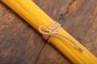 Italian pasta spaghetti